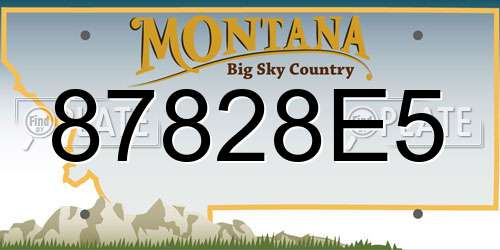 87828E5 Montana License Plate
