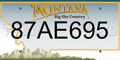 87AE695 Montana License Plate