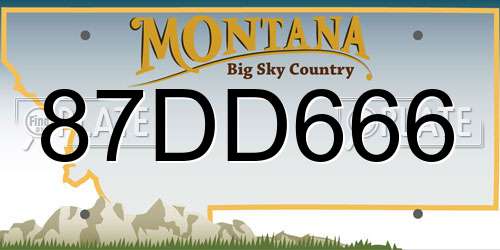 87DD666 Montana License Plate