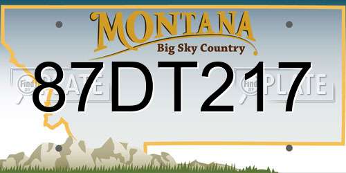 87DT217 Montana License Plate