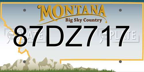 87DZ717 Montana License Plate