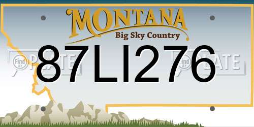 87LI276 Montana License Plate