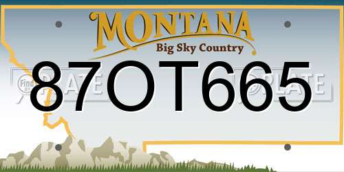 87OT665 Montana License Plate