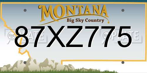 87XZ775 Montana License Plate