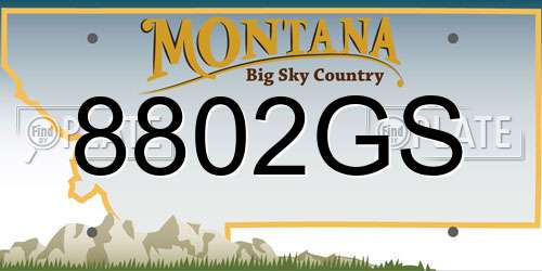 8802GS Montana License Plate