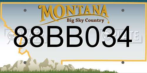 88BB034 Montana License Plate