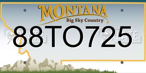 88TO725 Montana License Plate