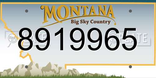 8919965 Montana License Plate