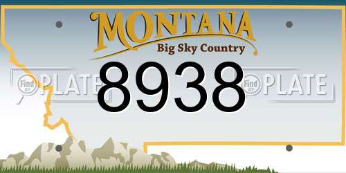 8938 Montana License Plate