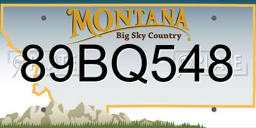 89BQ548 Montana License Plate
