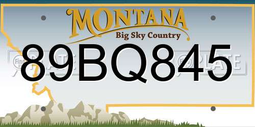 89BQ845 Montana License Plate