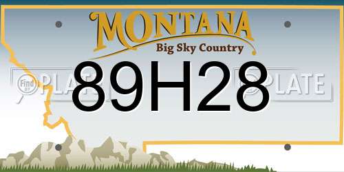 89H28 Montana License Plate