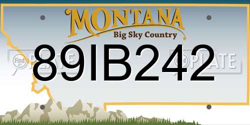 89IB242 Montana License Plate