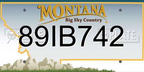 89IB742 Montana License Plate