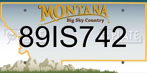 89IS742 Montana License Plate