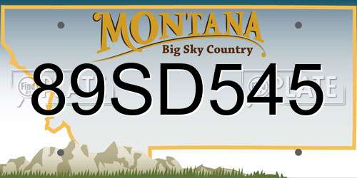 89SD545 Montana License Plate