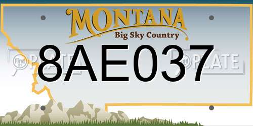 8AE037 Montana License Plate