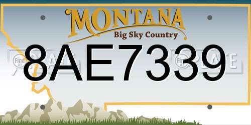8AE7339 Montana License Plate
