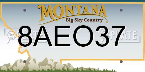 8AEO37 Montana License Plate