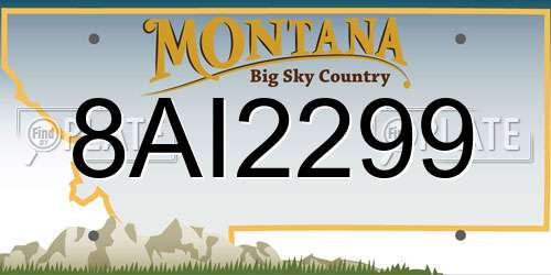 8AI2299 Montana License Plate