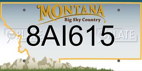 8AI615 Montana License Plate