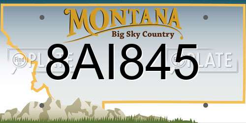 8AI845 Montana License Plate