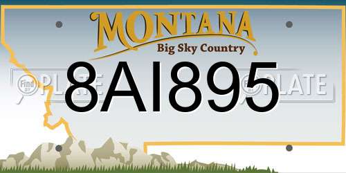 8AI895 Montana License Plate