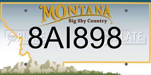 8AI898 Montana License Plate