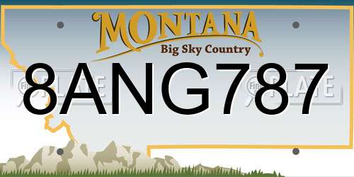8ANG787 Montana License Plate