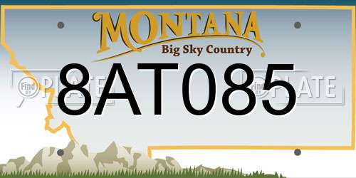 8AT085 Montana License Plate