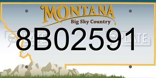 8B02591 Montana License Plate