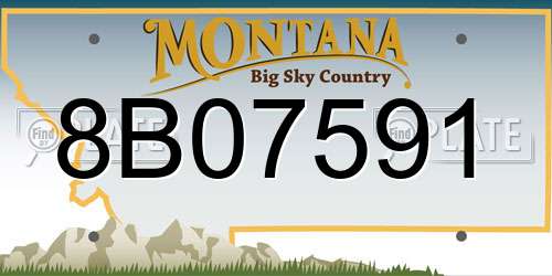 8B07591 Montana License Plate