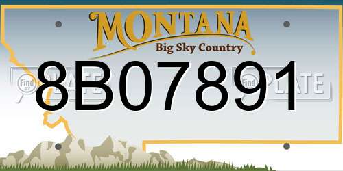 8B07891 Montana License Plate
