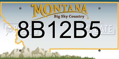 8B12B5 Montana License Plate