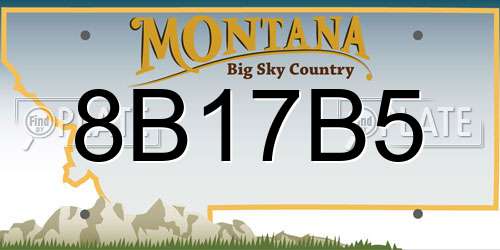 8B17B5 Montana License Plate