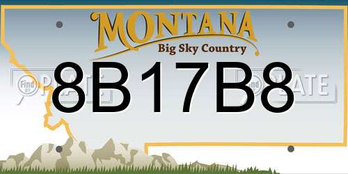 8B17B8 Montana License Plate