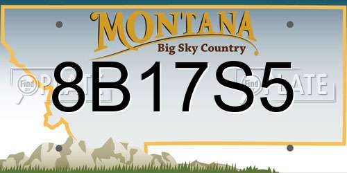 8B17S5 Montana License Plate