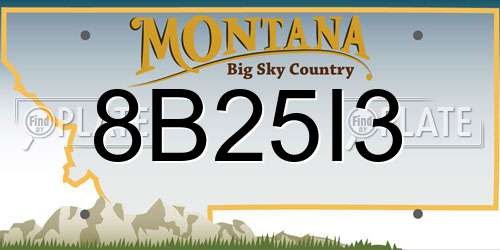 8B25I3 Montana License Plate