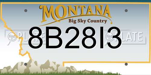 8B28I3 Montana License Plate