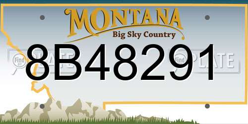 8B48291 Montana License Plate