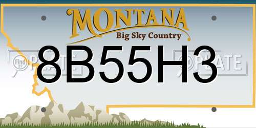 8B55H3 Montana License Plate