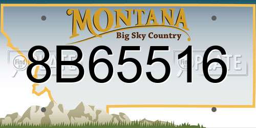 8B65516 Montana License Plate