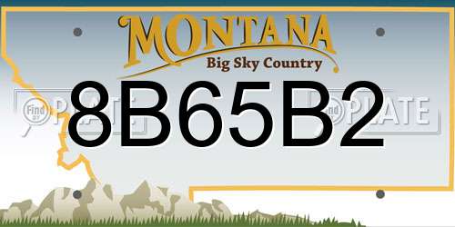 8B65B2 Montana License Plate