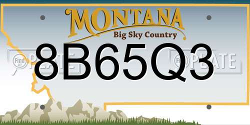 8B65Q3 Montana License Plate