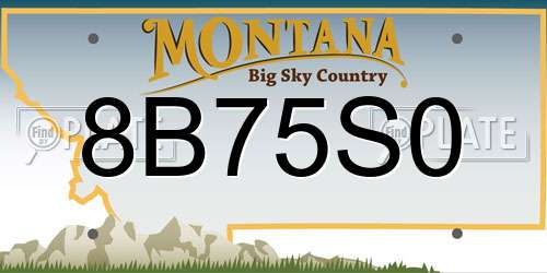 8B75S0 Montana License Plate