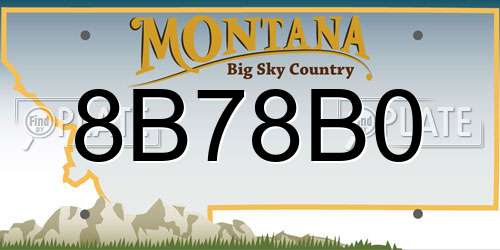 8B78B0 Montana License Plate