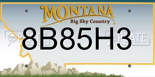 8B85H3 Montana License Plate