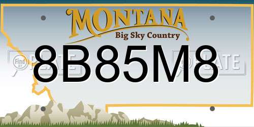 8B85M8 Montana License Plate