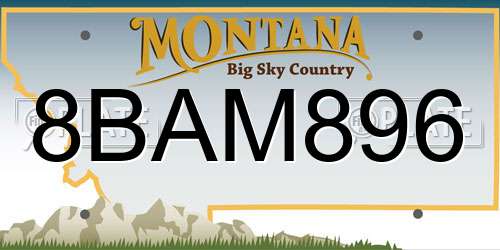 8BAM896 Montana License Plate