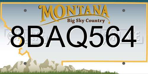 8BAQ564 Montana License Plate